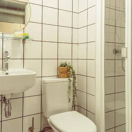 Micampus * קוביליה